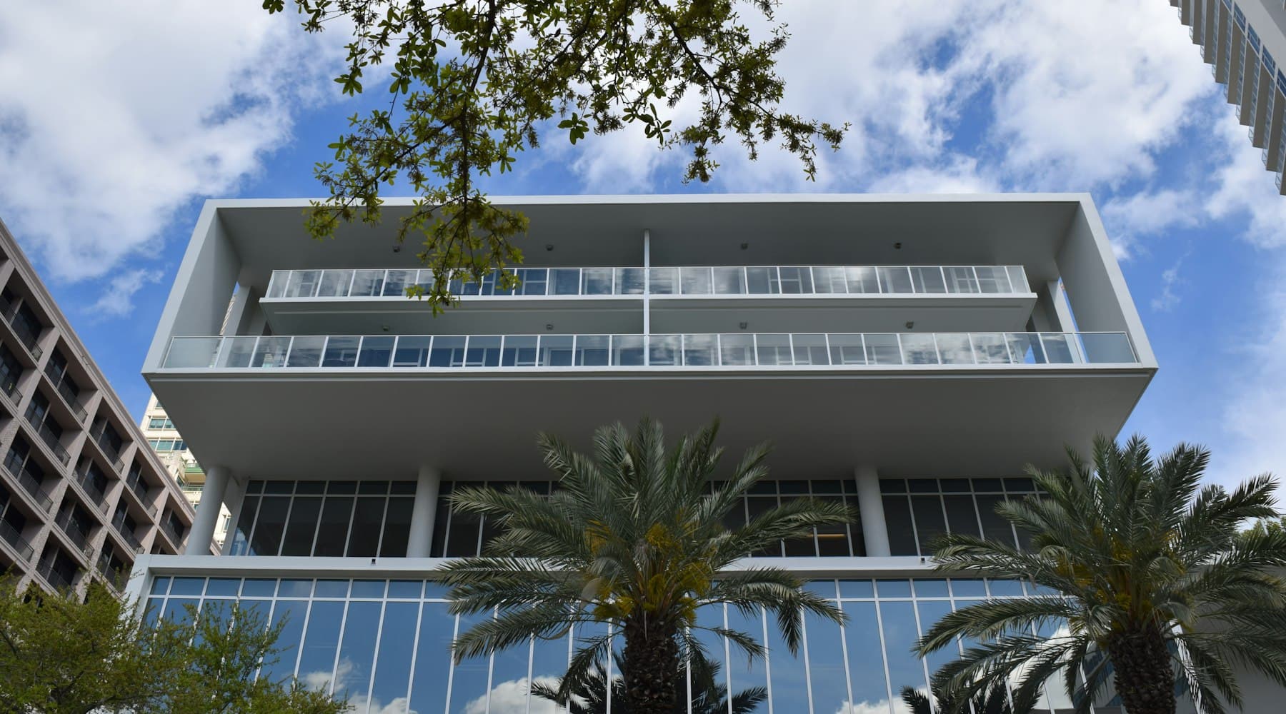 A modern white commercial building with glass floors and palm trees in St. Petersburg, Florida