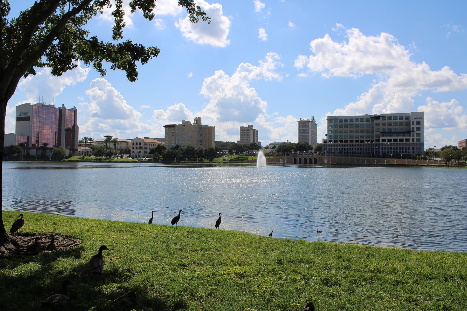 Downtown Lakeland skyline across Lake Mirror, Lakeland, Florida