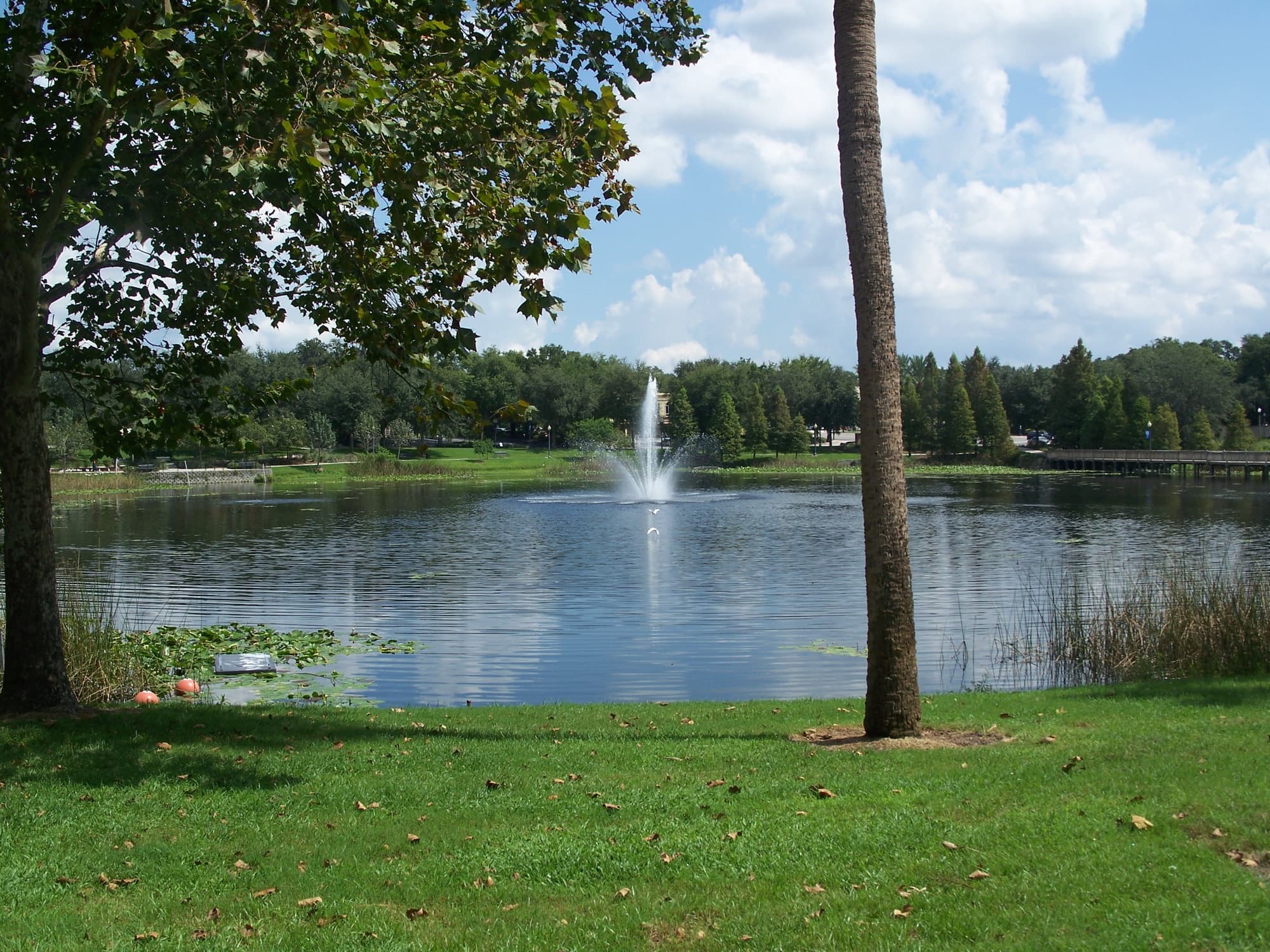 Lake Lily with its fountain and oak trees, Maitland, Florida