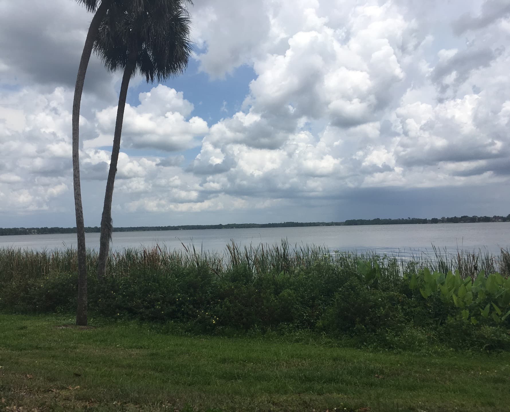 Lake Thonotosassa, Thonotosassa, Florida